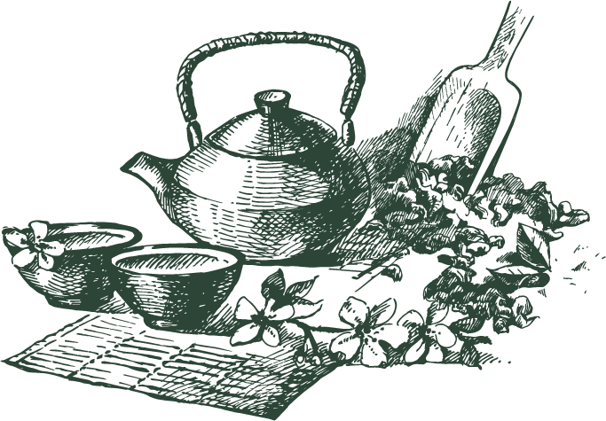 <strong>TRÀ CỤ & ẤM CHÉN</strong>