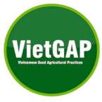 Quy Trình Nuôi Trồng và Chăm Sóc Chuẩn VietGAP