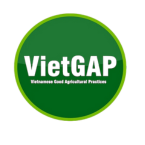 Tiêu Chuẩn VietGAP