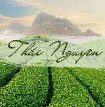 Điều Kiện Tự Nhiên Lý Tưởng