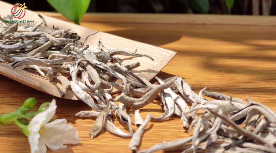 Bạch trà chủ yếu được làm từ nguyên liệu Shan Tuyết ở các vùng núi cao