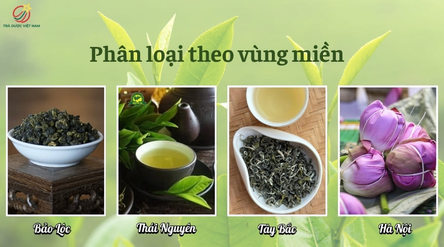 Dựa trên điều kiện khí hậu, thổ nhưỡng và phương thức canh tác, nước ta có 4 vùng trà tiêu biểu