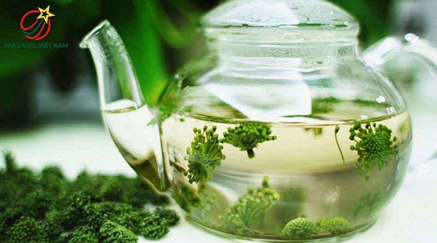 Nụ hoa tam thất là thảo dược quý vừa bổ tim mạch vừa hỗ trợ giấc ngủ