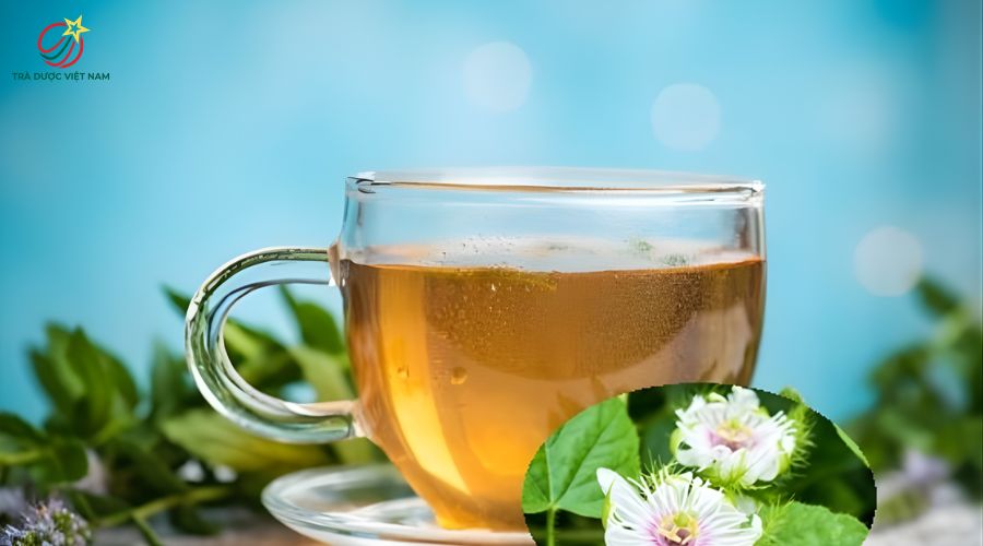 Trà lạc tiên là nguồn flavonoid dồi dào giúp làm dịu thần kinh hiệu quả