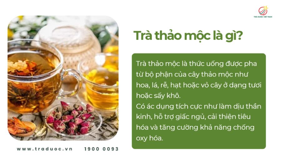 Trà thảo mộc là thức uống phù hợp dùng hằng ngày để hỗ trợ sức khỏe
