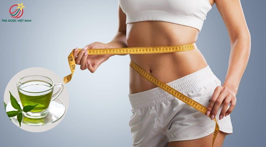 Uống trà xanh có thể giúp hỗ trợ giảm cân