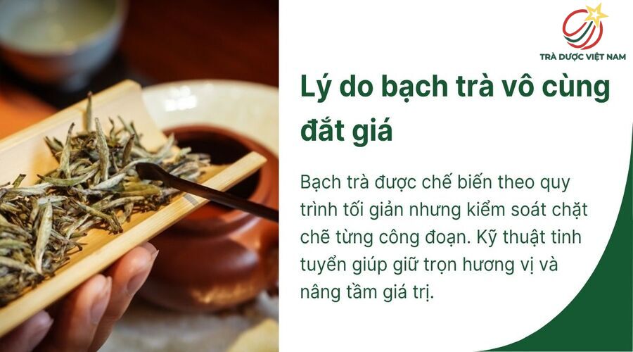 Kỹ thuật tinh tuyển nâng tầm giá trị bạch trà