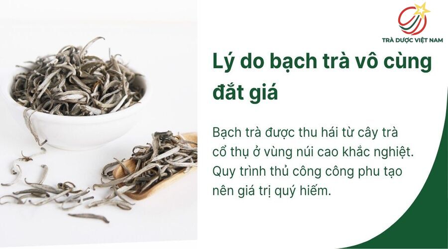 Nguồn gốc lâu đời tạo nên giá trị bền vững của bạch trà