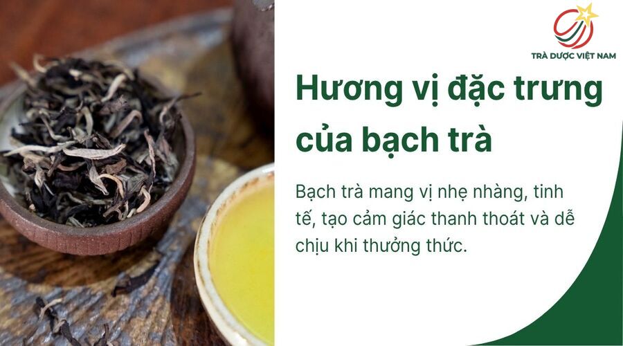 Bạch trà có vị nhẹ, dễ uống và mang lại cảm giác thư thái