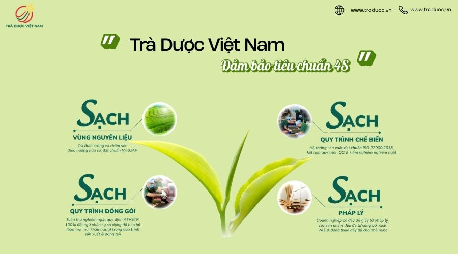 Quy trình sản xuất trà theo tiêu chuẩn 4S