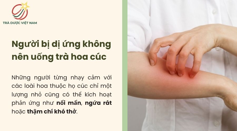 Người từng dị ứng hoa cúc cần tránh sử dụng trà