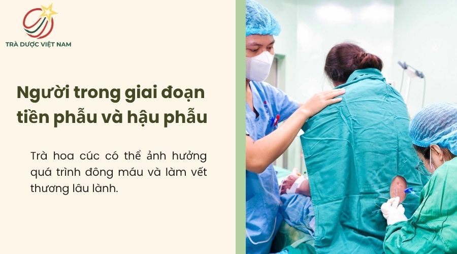 Trà hoa cúc không phù hợp trong giai đoạn trước và sau phẫu thuật