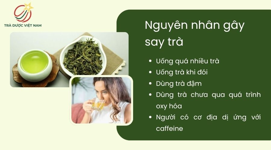 Các nguyên nhân dẫn đến tình trạng say trà