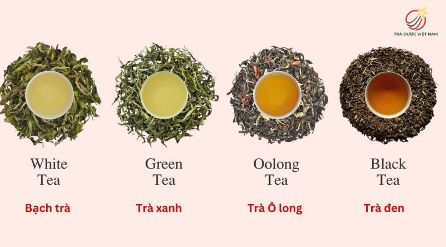 Mỗi loại trà ảnh hưởng đến chất lượng giấc ngủ khác nhau