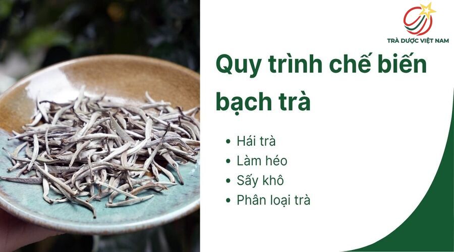 Quy trình làm trà trắng tinh giản nhưng đòi hỏi độ chính xác cao
