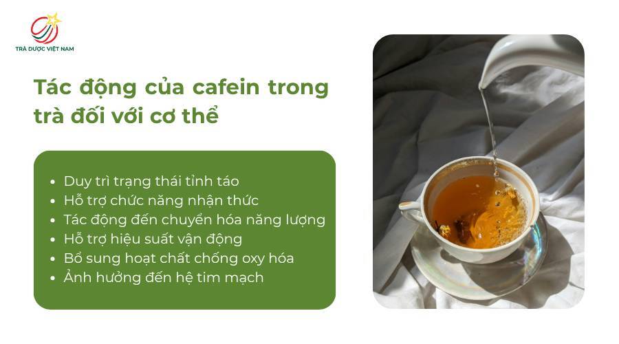 Những tác động của cafein trong trà với cơ thể