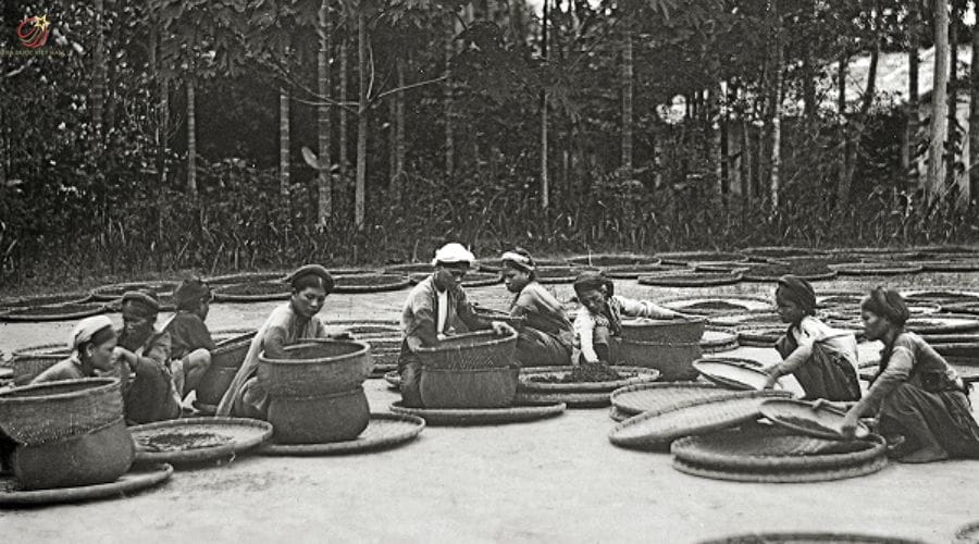 Chế biến chè thời kỳ trước năm 1882