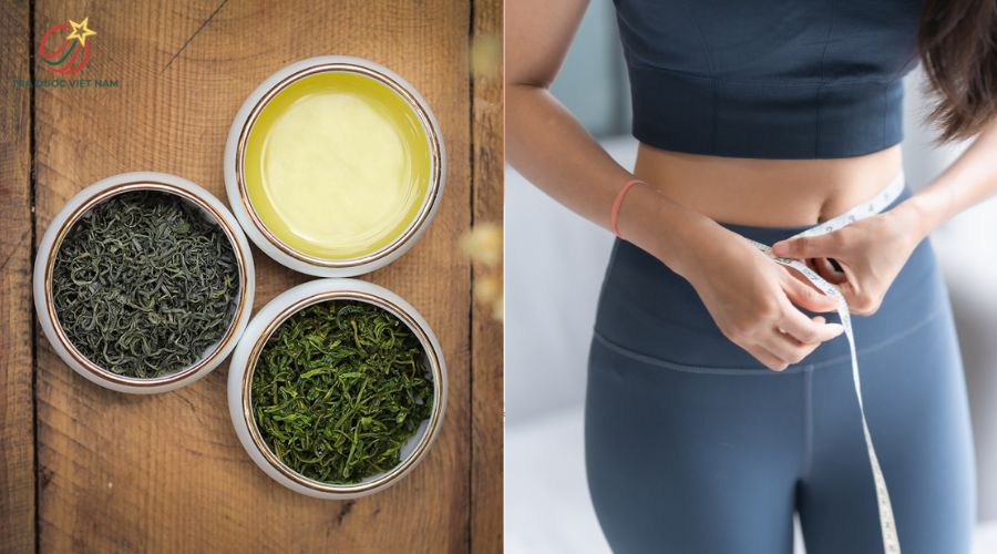 Trà đinh hỗ trợ đốt cháy mỡ và kiểm soát cân nặng