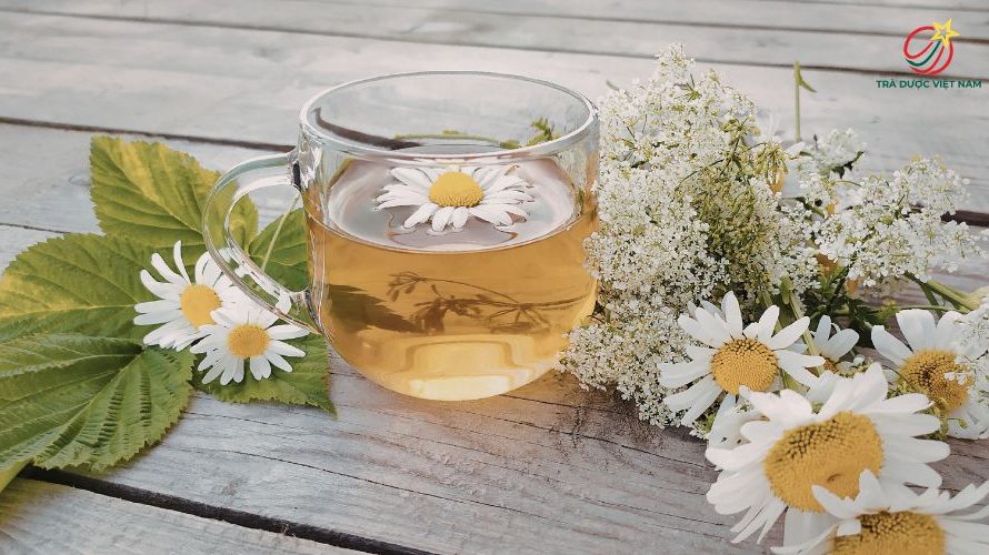 Trà hoa cúc có tác dụng gì