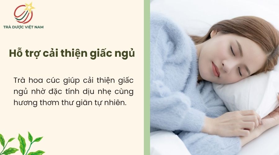 Trà hoa cúc hỗ trợ an thần và giảm mất ngủ