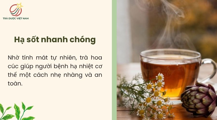 Trà hoa cúc hỗ trợ giảm thân nhiệt an toàn