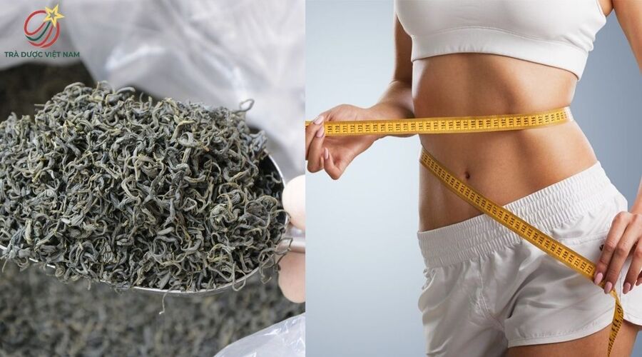 Trà móc câu giúp kiểm soát cân nặng
