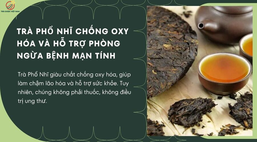 Trà phổ nhĩ hỗ trợ ngăn ngừa sự phát triển của tế bào ung thư