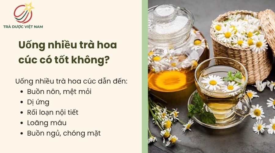 Trà hoa cúc uống nhiều sẽ không tốt