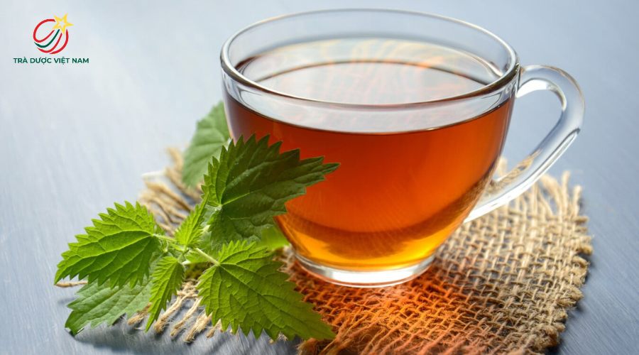 Trà tầm ma giúp đào thải vi khuẩn hỗ trợ làm sạch hệ tiết niệu
