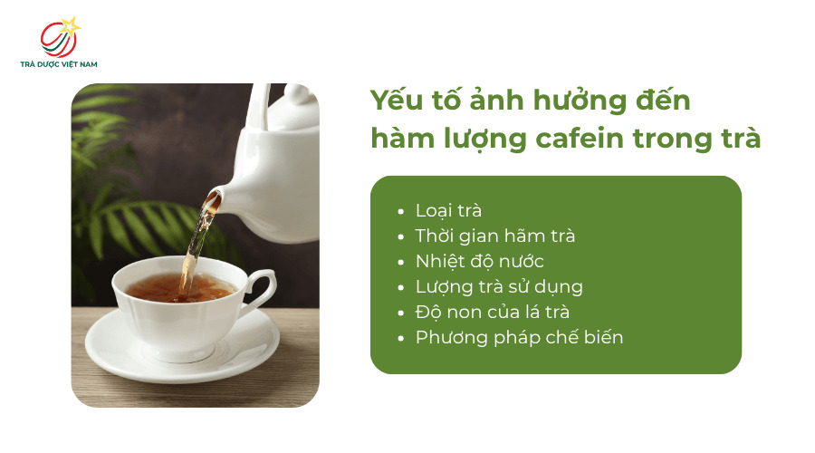 Các yếu tố ảnh hưởng đến hàm lượng cafein trong trà
