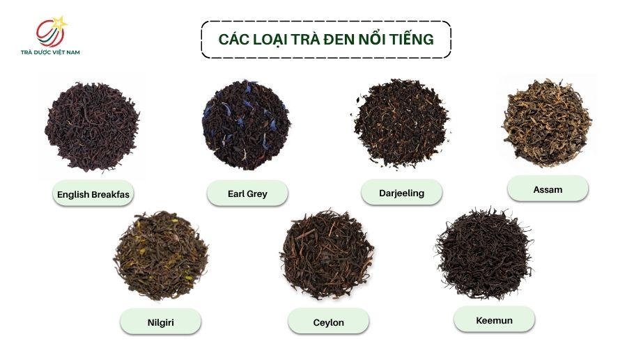 cac-loai-tra-den-noi-tieng.jpg