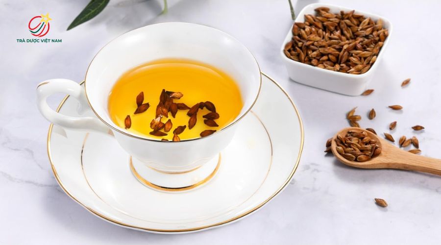 Trà lúa mạch cấp nước nhanh cho cơ thể