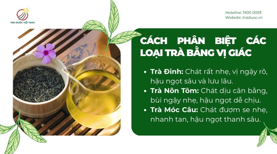 Phân biệt các loại trà khác nhau qua vị của trà