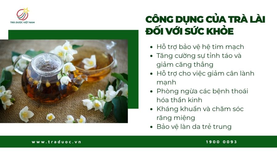 Uống trà lài mang nhiều lợi ích cho sức khỏe