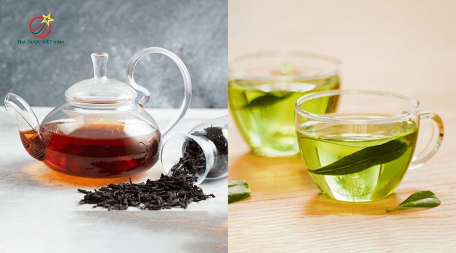 So sánh khác biệt giữa hồng trà và lục trà