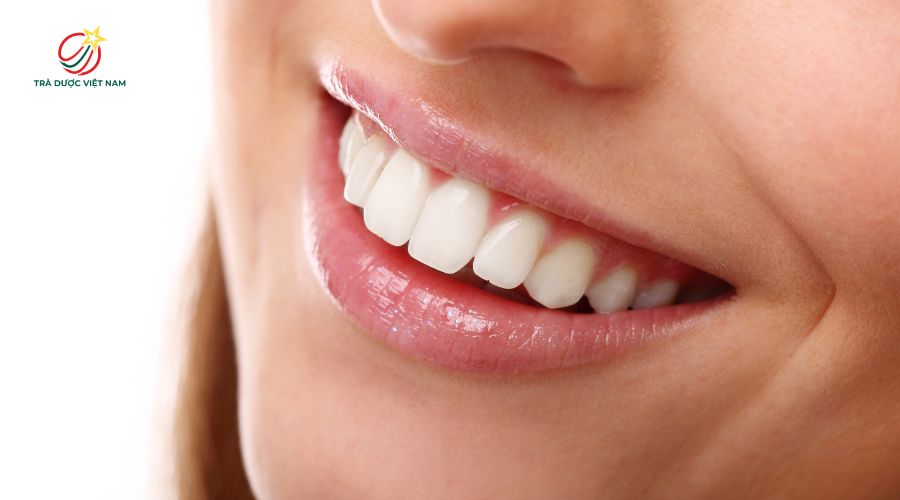 Uống trà giúp giảm vi khuẩn gây mùi miệng và hỗ trợ bảo vệ răng miệng