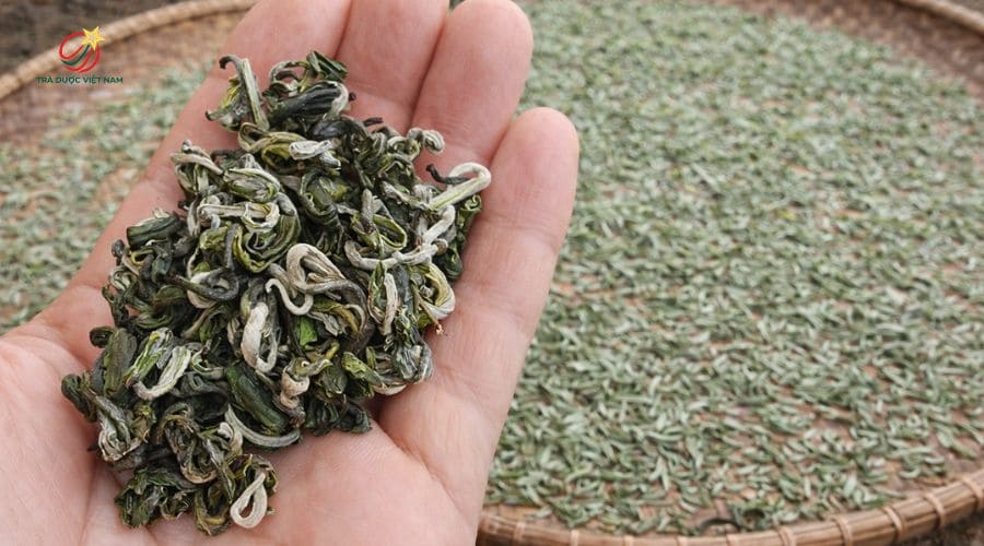 Lục trà Shan Tuyết được hái theo 1 tôm 1 hoặc 2 lá