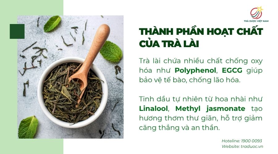 Thành phần trà lài chứa nhiều chất chống oxy hóa