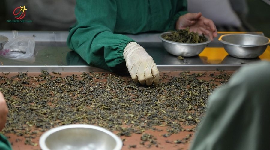 Trà Đen nên mua ở những nơi có uy tín, nguồn gốc xuất xứ rõ ràng