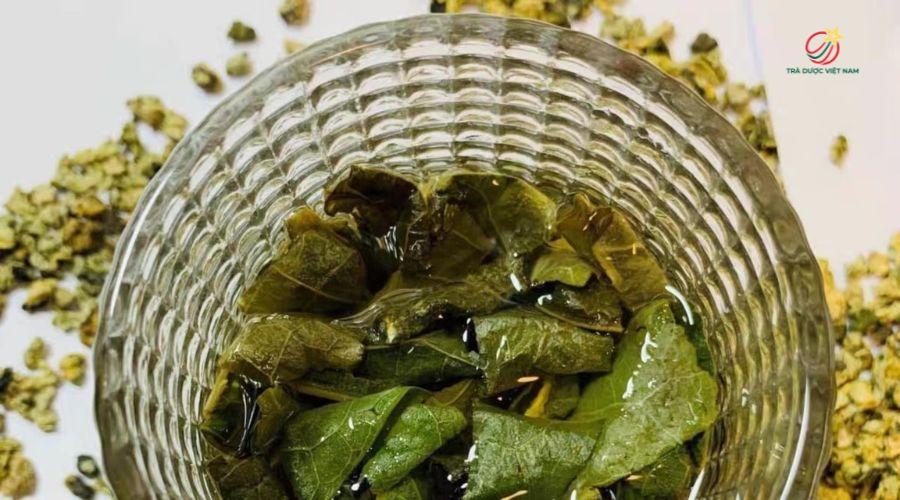 Trà lá sen giúp bạn dễ dàng đi vào giấc ngủ