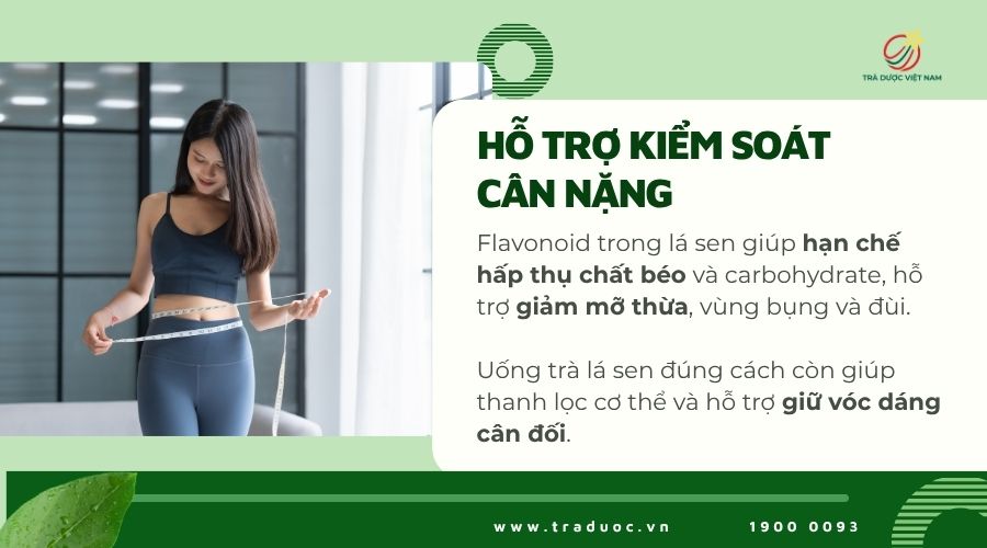 Trà lá sen giúp hỗ trợ kiểm soát cân nặng hiệu quả