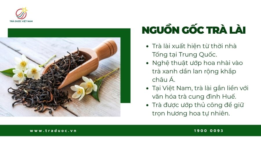 Trà lài có nguồn gốc lịch sử lâu đời