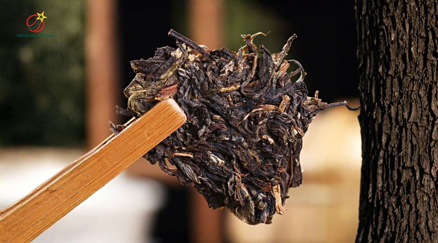 Trà Phổ Nhĩ Shan Tuyết có 2 loại và là dòng trà thượng hạng