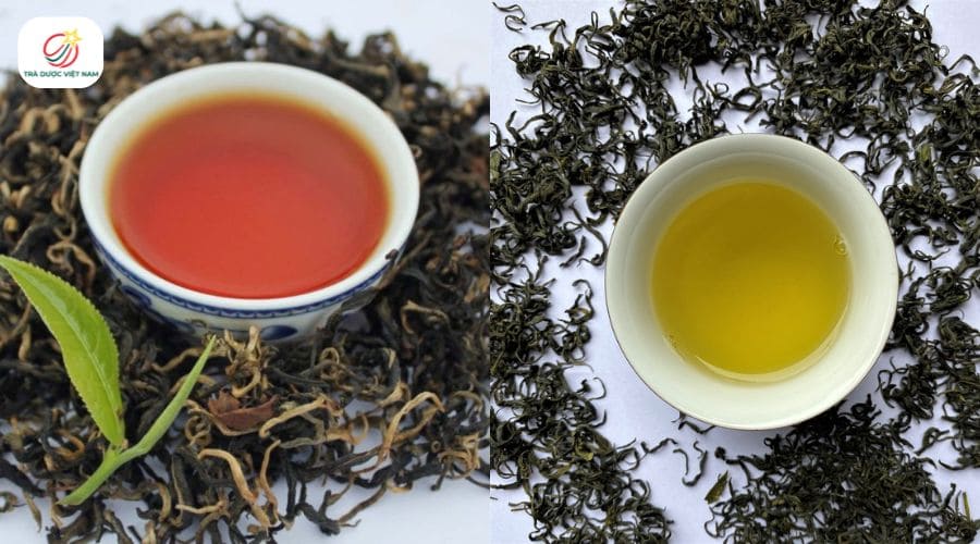 Sự khác biệt của Trà Shan Tuyết và trà Thái Nguyên