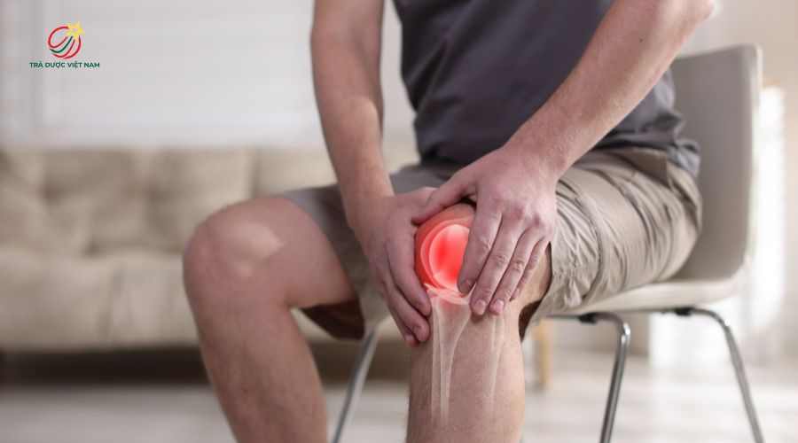 Trà lài có tác dụng giảm đau nhức xương khớp