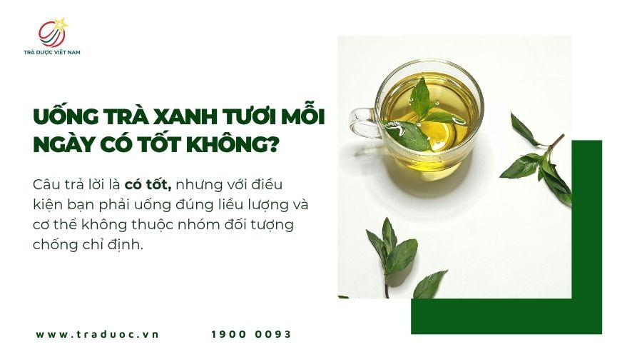 Uống trà xanh tươi mỗi ngày sẽ tốt nếu dùng đúng liều lượng