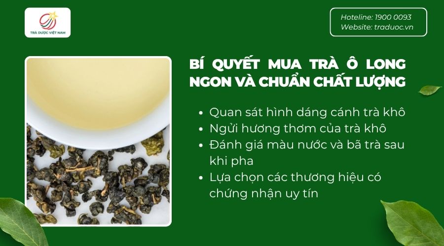 Những bí quyết giúp bạn mà trà ô long đạt chuẩn chất lượng
