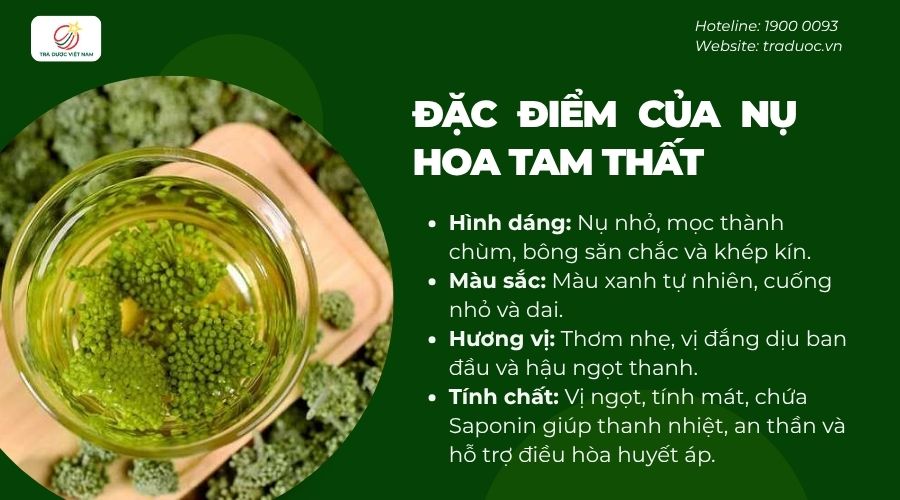 Nụ hoa tam thất có hương thơm nhẹ dùng làm trà để an thần, cải thiện giấc ngủ