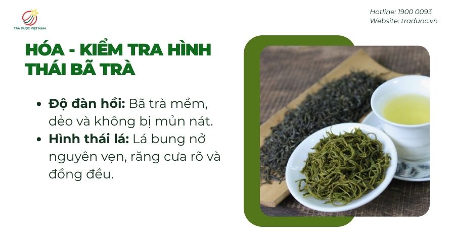 Bã trà đàn hồi, lá nguyên vẹn là dấu hiệu trà đạt chuẩn