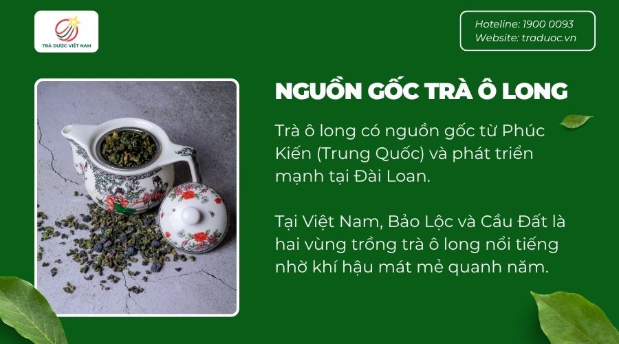 Trà có nguồn gốc từ Phúc Kiến - Trung Quốc